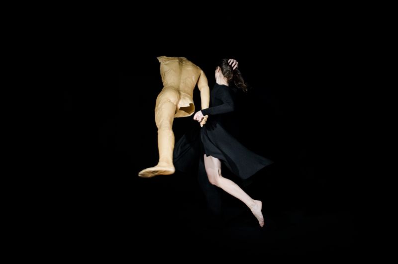  © L. Vancevičienė